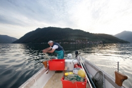 LA SARDINA ESSICATA DEL LAGO D'ISEO PRESIDIO SLOWFOOD